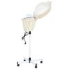 Hairdressing Sauna Salon Humidifier for Hair Regeneration and Care