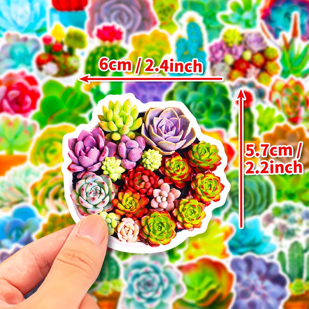 50 Pieces of Succulent Cactus Potted Fresh Stickers DIY Suitcase Notebook Water Cup Stickers