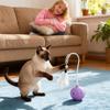 Indoor Cat Toys Electronic Kitten Supplies With Feathers Electronic Automatic Kitten Toys For Indoor Play Exercise Boredom