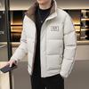 Men's 2025 Autumn/Winter White Duck Down Jacket - Thick Warm Stand Collar Outerwear