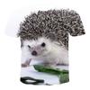 Summer T-Shirts Animal Hedgehog 3D Print  Fashion Casual Boys Girls Children O-Neck Tops