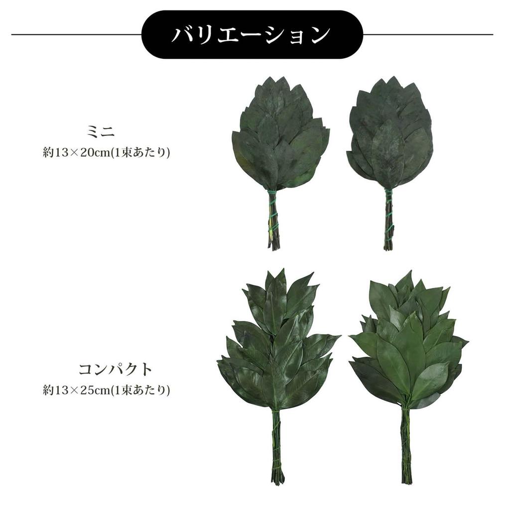 Tokai Seiro Preserved Compact Sakaki Trees, Pair, 25cm, SC-80856