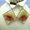 Trendy Resin Dried Flower Pearl Earrings for Women - Fresh Spring/Summer Design