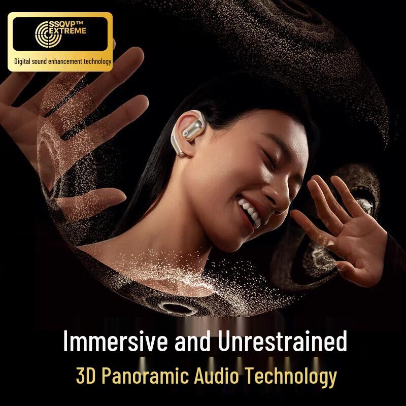 Pisen LV25JL OWS Open-Ear Sports Bluetooth Earbuds