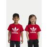 Adidas Adicolor Trefoil T-shirt