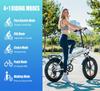 VITILAN V3 2.0 Urban Electric Bicycles 750W Motor (peak Power 1200W) 20-inch * 4.0-inch Chaoyang Puncture-resistant Tires