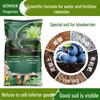 Organic Blueberry Soil: Nutrient-Rich Planting Mix for Seedlings, Flowers, and Green Plants
