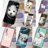 Maltese Dog Puppy Case For Xiaomi 13T 12T 11T 13 Pro 14 Ultra 12 Lite POCO F5 M6 X6 Pro X5 X3 F3 M5s Cover
