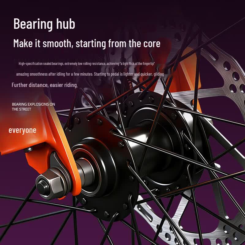 Phoenix Dongfeng 21 Mountain Bike