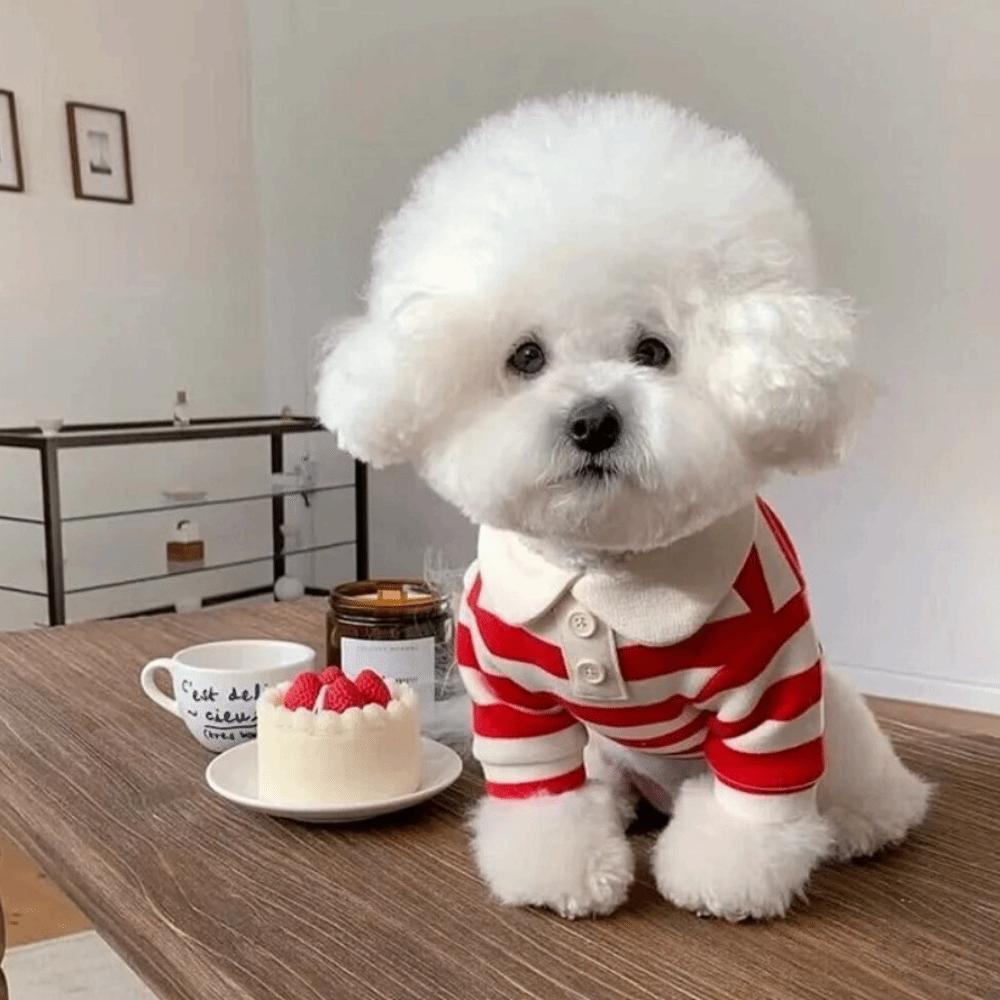 Breathable Dog Thin Shirt Collared Style Dog T Shirts Fashion Dog Striped Shirt Kittens Wear