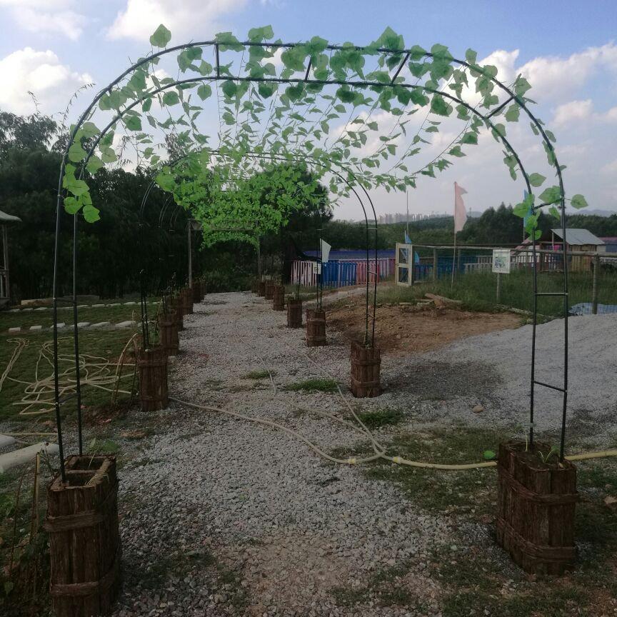 Elegancki kuty żelazny łukowy stojak na kwiaty do róż pnących