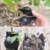 3pcs Plant Rooting Sphere Graft Rooting Growing Box Breeding Crate for Garden Plants