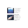 Daiwa TG Bait 120g PH Kamura Cotton Candy Tungsten Jig Fishing Tackle