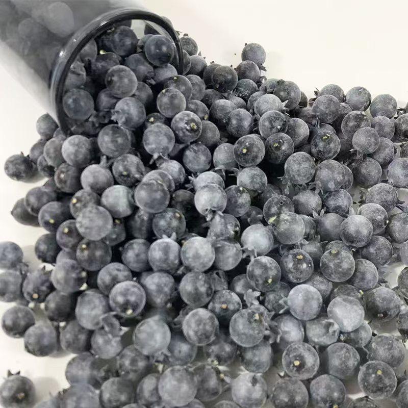 Blueberry Foam Model Fake Fruit & Vegetable Props for Photography Displays & Fresh Fruit Toys