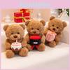 Rose Gift Cake Bear Plush Toy Cartoon Stuffed Doll Animal Decoration Gift Kids