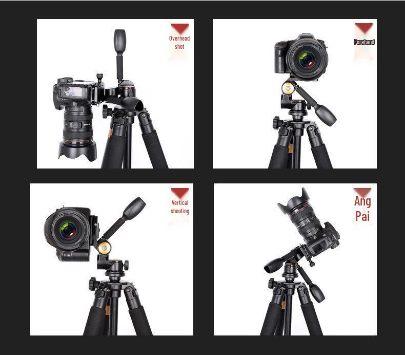 Era Q620 Lightweight DSLR Tripod with 3D Ball Head and Large Diameter Tubes for Photography and Video