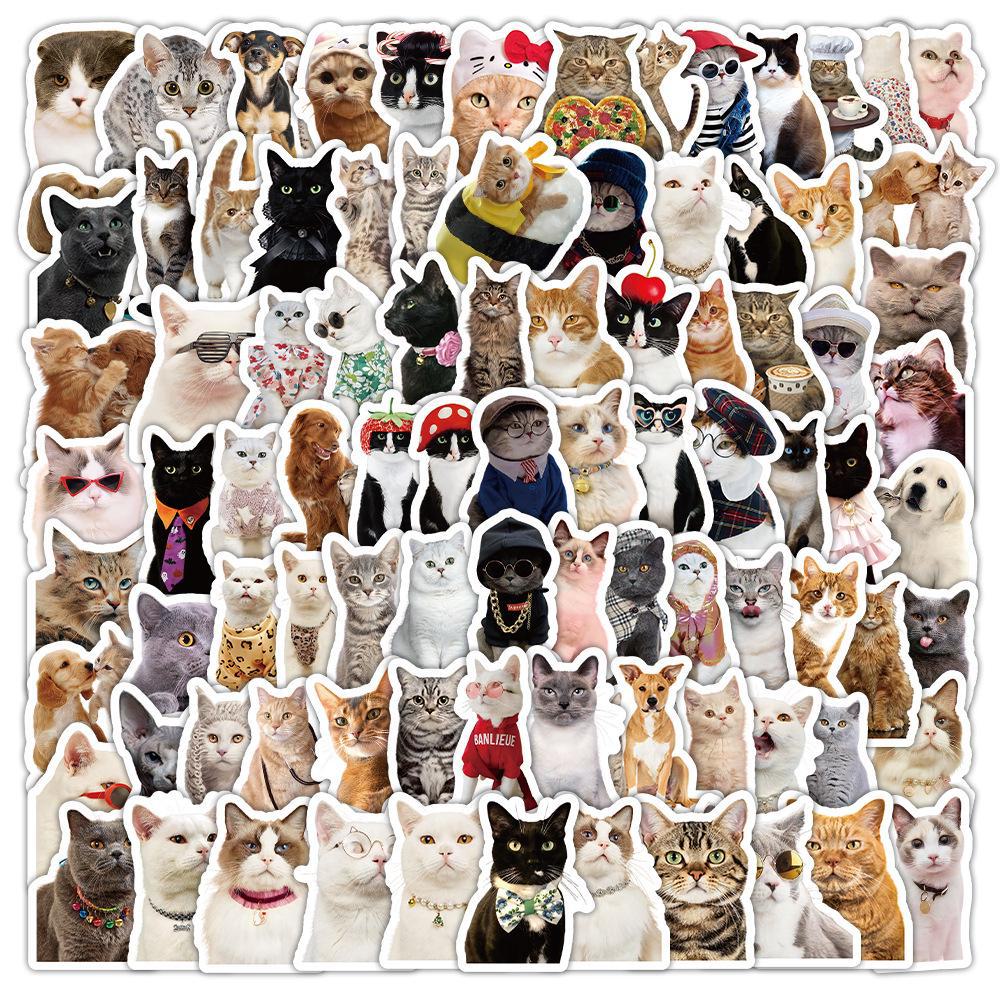 100 realistische Tieraufkleber: Kleines Tier- und Lebensmittelmotiv für Notizbücher, Skateboards, Gepäck – wasserfest