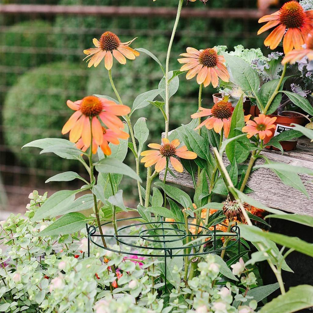 3 Pieces Peony Cages and Supports Peony Support Frame Plant Support Stakes Supports Hoops for Tomato Flopping Flowers Vegetables