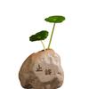 Zen Mini Flower Vase - Creative Coarse Pottery Ornament for Living Room or Tea Table