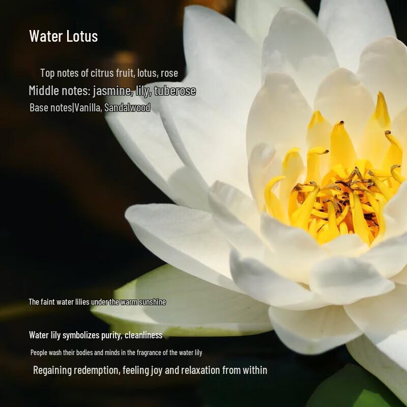 Oriental Gem Water Lily Moisturizing Fragrance Body Lotion