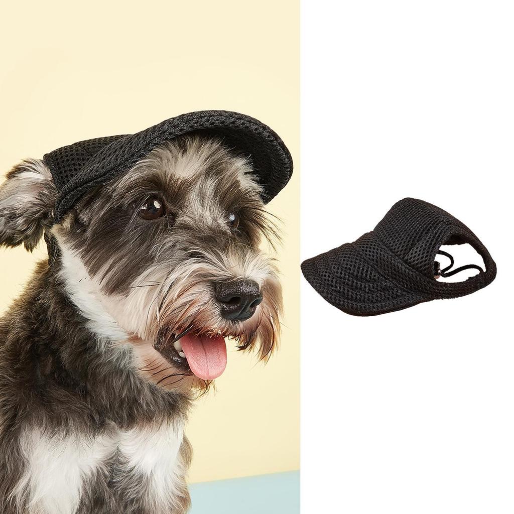Casual Mesh Baseball Cap for Small Dogs: Golden Retriever, Bichon, Corgi, Teddy, Yorkie, Pomeranian