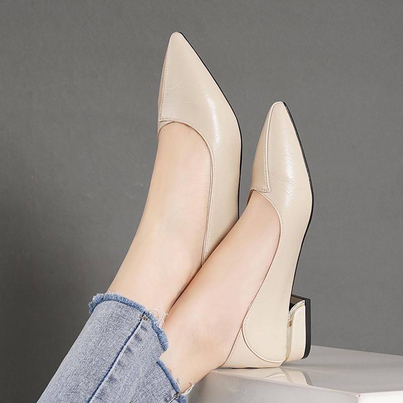 2025 Spring and Autumn New Pointed Toe Single Shoes Women Thick Heel Shallow Mouth Professional All-match Women's Shoes