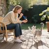 Cães – Produtos para treino de animais