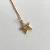 Salted Glow Star Necklace