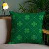 St Patricks Day Gift Cushion Cover Soft Plush Fabric DoubleSided Printed Sofa Cushion Cover for All Seasons Home Decor Gift