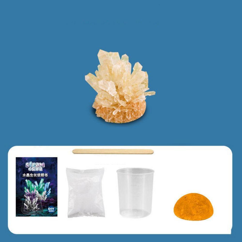 Display Cases Crystal Growing Kit Grow a Crystal Vibrant Colored Crystals DIY Educational Science Toys Mold Shapes