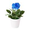 Artificial Potted Rose Desktop Faux Rose Bonsai Reusable Artificial Rose in Flower Pot for Home Office Decor Photography Prop