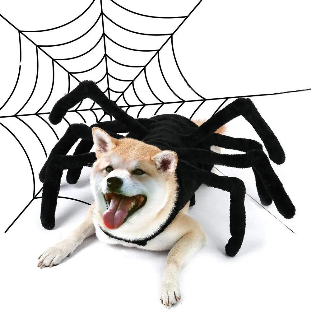 

New Pet Halloween Costume Funny Spider Chest Back Creative Cat Dog Small Dog Transforming Clothing