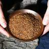 Daliang Mountain Organic Black Tartary Buckwheat Tea 500g Herbal Health Care