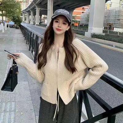 Doppel-reißverschluss Strickjacke Pullover Mantel Frauen Herbst/Winter Kurze Solide Unterlage Top Vielseitig Wolle Strickjacke Pullover Weibliche Top