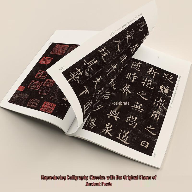 Classic Chinese Calligraphy Copybook Collection