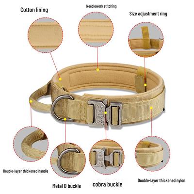 Cani – Collari e guinzagli per cani
