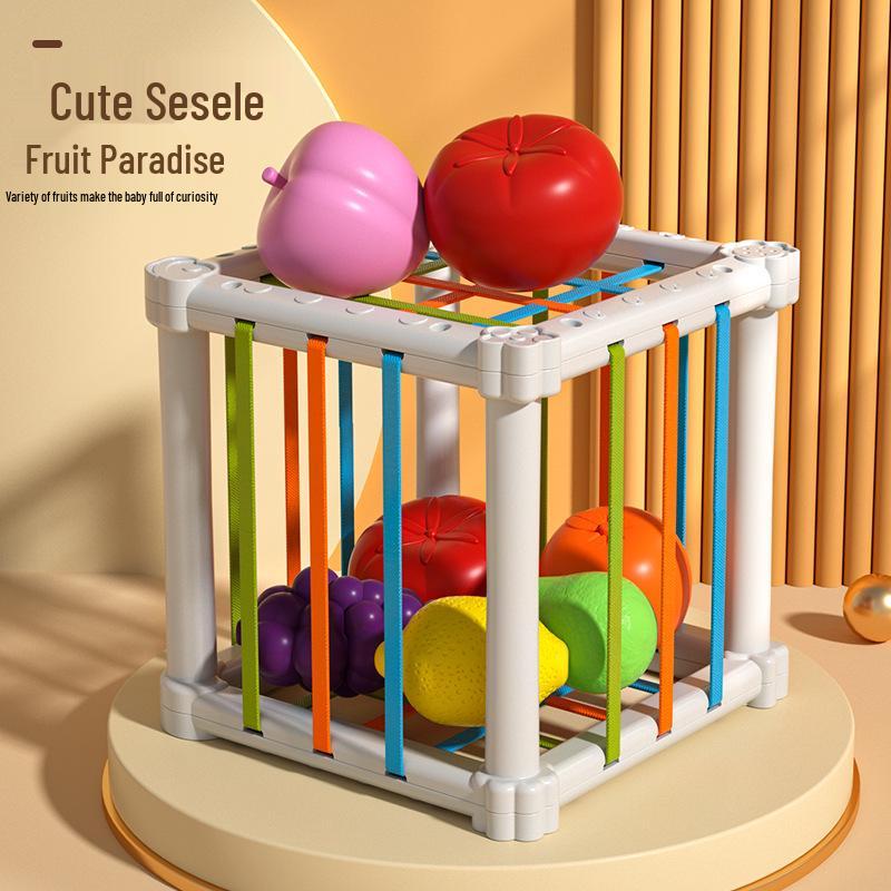 Rainbow Fruit Shape Cognition Toy for Infant Fine Motor Training
