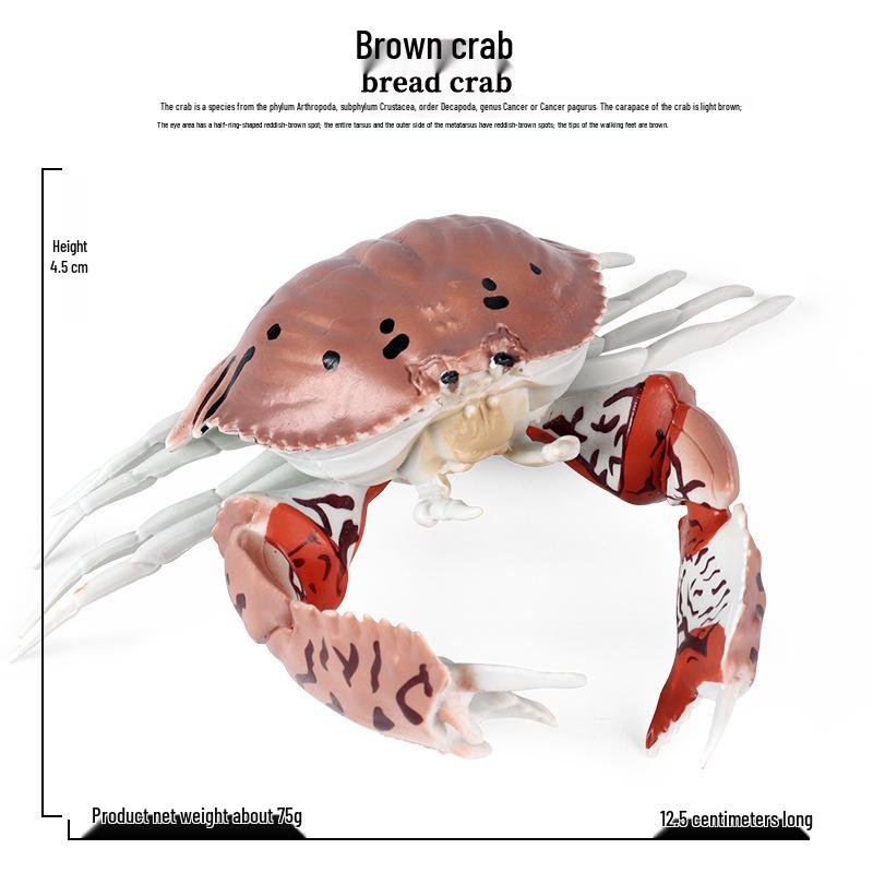 Coconut Crab Marine Animal Toy Model for Children s Cognitive Display