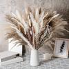 1 Bund trockenes Schilfgras, kein Gießen, nicht verwelkt, pflegeleicht, natürlicher getrockneter Pflanzenstrauß, DIY, Hochzeit, Boho-Blume, Heimdekoration