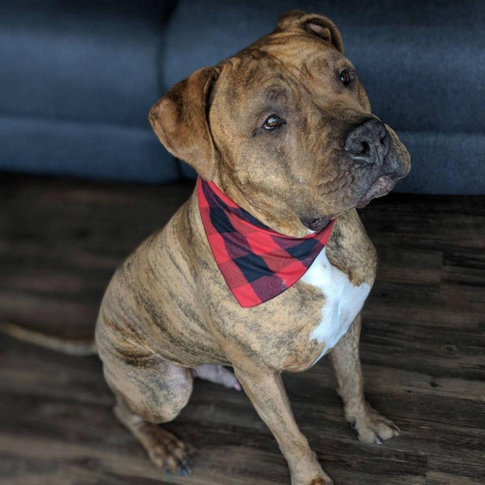 Cotton Adjustable Neckerchief Bow Ties Grooming Accessories Puppy  Collar Cat  Kerchief Dog Bandana Triangle Scarf Pet Supplies
