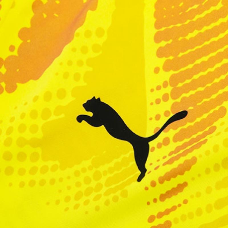 Puma Tricou de portar cu mânecă lungă Team Target 70651923