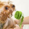 Köpek – Köpek bakım ürünleri