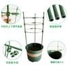 60CM Plant Support Stake with 3 Rings and 3 Poles Indoor Flower Pot Support Frame for Climbing Plants and Vines Suitable for Home Garden Use