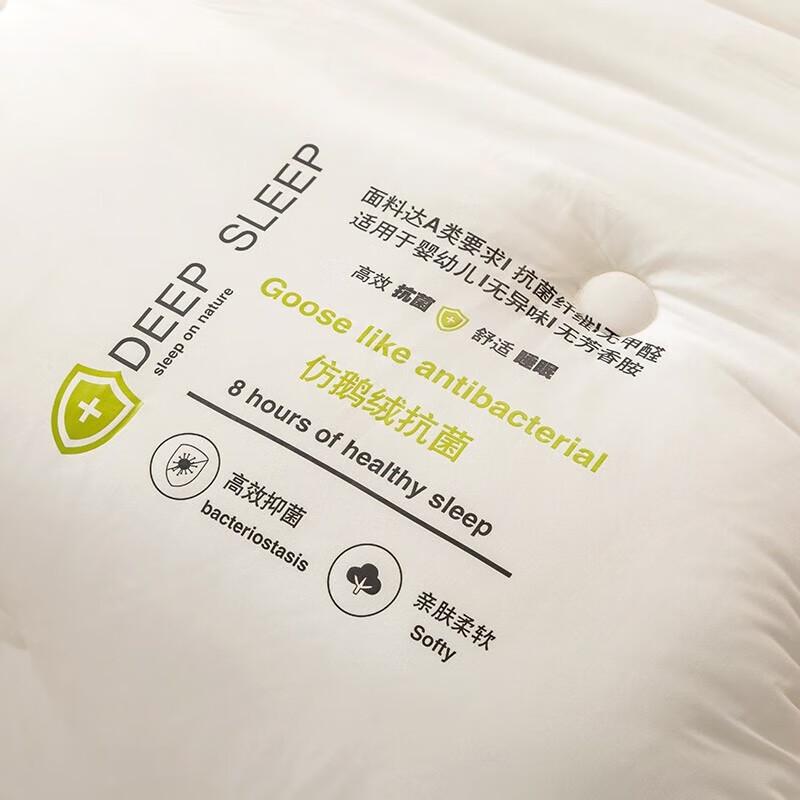 Belle Anna Warm Antibacterial Velvet Quilt