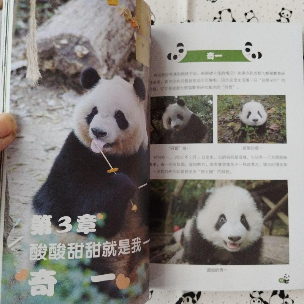 [USED] Rare Item! Big Bear Cat Super Moehishi