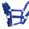 Durability Metal Eye Hook Horse Headgear For Secure Cycling And Training With Rustproofed Stable Bridle Hardware
