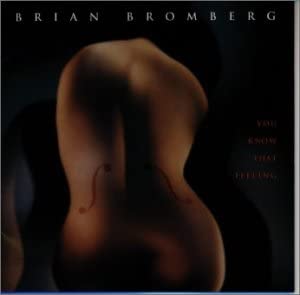 

CD BRIAN BROMBERG - Joe Cool KICJ375 Zebra Records 1999 Japan ObiJazz Used