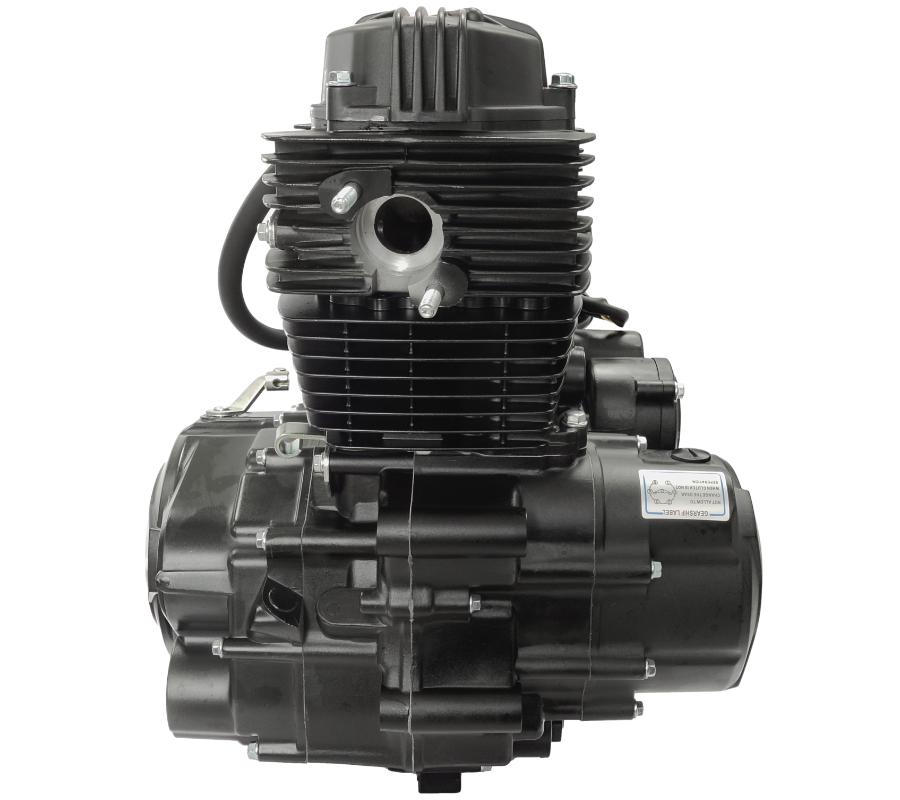 Moretti Vertikalmotor 167Fmm, 250ccm 4T, 5-Gang Manuell Schwarz