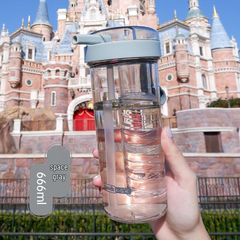 BEANBEANLOVE Portable Straw Water Bottle with Tea Infuser