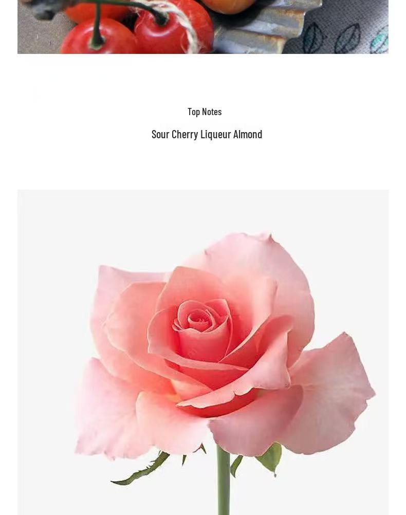 Li Fei Sakura Snow Moon Perfume: Sweet, Long-lasting, Feminine Fragrance, 60ml